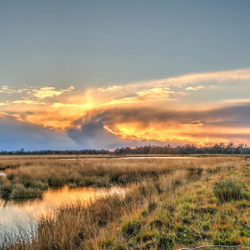 Wonen in Kloosterhaar