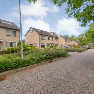 Professor Waterinkstraat 4, 7692 AK MariËnberg - Foto 49