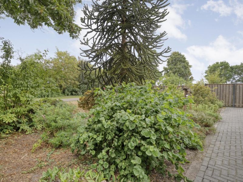 Dwarsweg 3, 7695 SE Bruchterveld - Foto 60