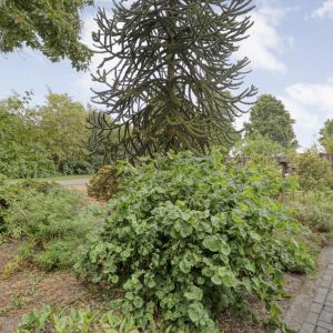 Dwarsweg 3, 7695 SE Bruchterveld - Foto 59
