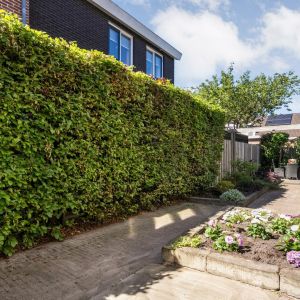 Van Haeringenstraat 72, 7701 CT Dedemsvaart - Foto 40