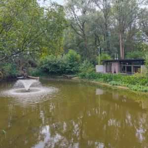 Sportlaan 15, 7691 BJ Bergentheim - Foto 66