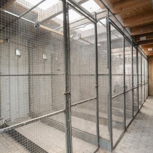 Het Bleekveld 39, 7772 PV Hardenberg - Foto 43