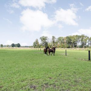 Klooster 38, 7741 ND Coevorden - Foto 71