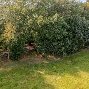 Violenstraat 106, 7731 WS Ommen - Foto 45