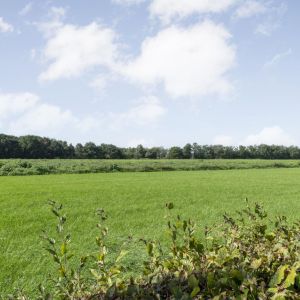 Haarweg 52, 7696 BB Brucht - Foto 57