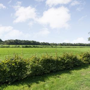 Haarweg 52, 7696 BB Brucht - Foto 62