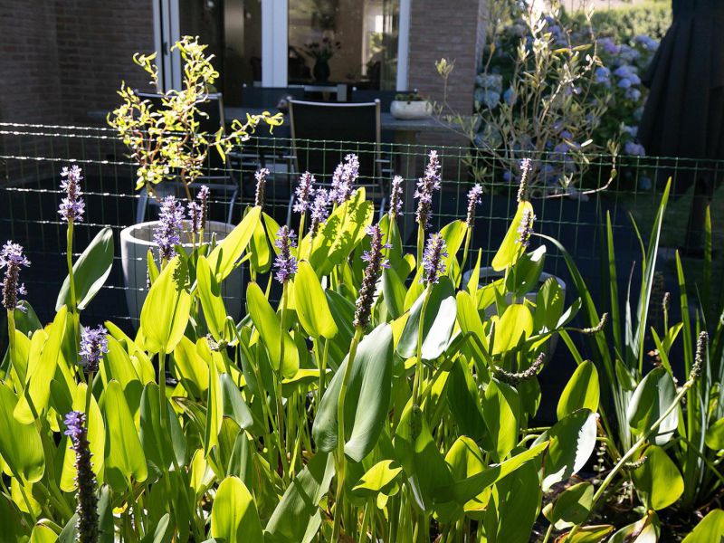 Wolter ter Haarstraat 7 b, 7707 CJ Balkbrug - Foto 36