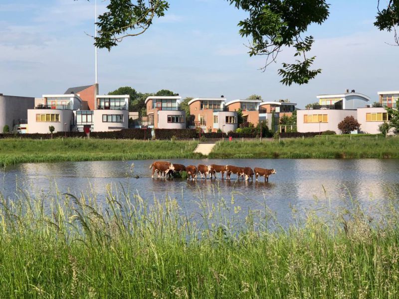 Willebrandt van Oldenburgstraat 7 b5, 7772 AL Hardenberg - Foto 33