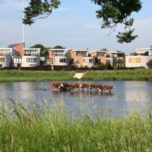 Willebrandt van Oldenburgstraat 7 b5, 7772 AL Hardenberg - Foto 32