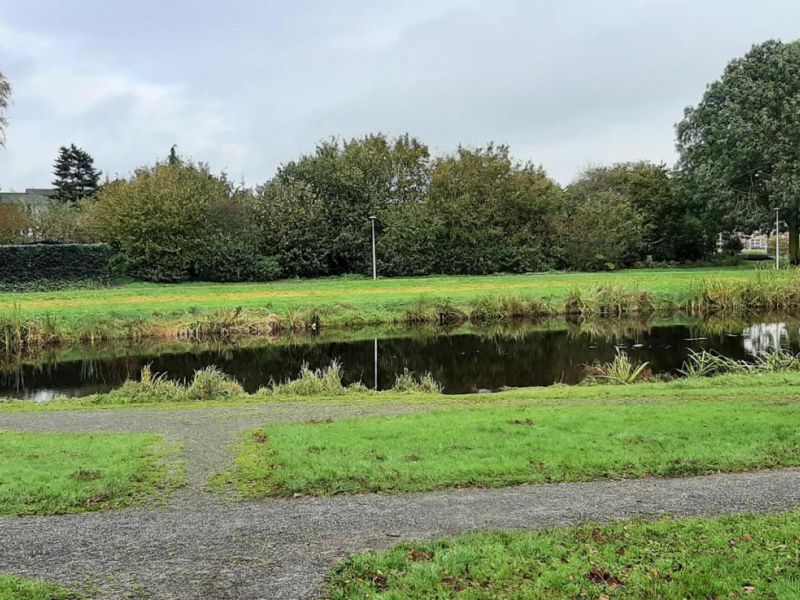 De Klaverzuring 13, 7701 MR Dedemsvaart - Foto 72