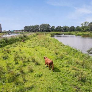 De Vechtrande 21, 7772 VK Hardenberg - Foto 49