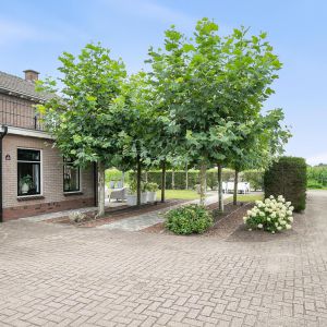 Westeindigerdijk 20, 7791 RV Radewijk - Foto 42