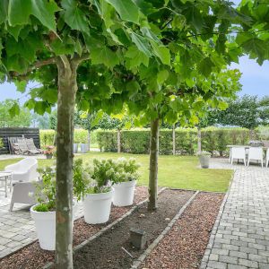 Westeindigerdijk 20, 7791 RV Radewijk - Foto 46