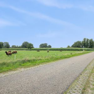 Westeindigerdijk 20, 7791 RV Radewijk - Foto 56