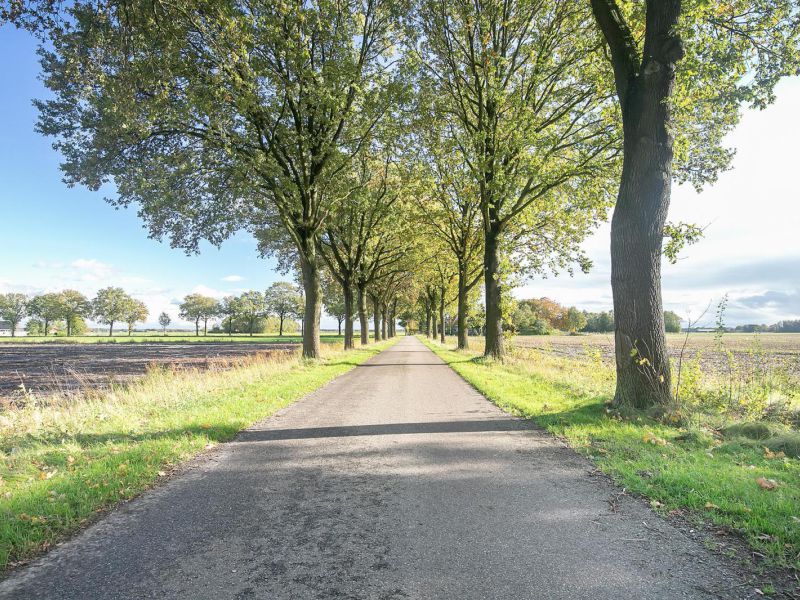Rauwbloksweg 1, 7691 BS Bergentheim - Foto 53