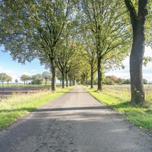 Rauwbloksweg 1, 7691 BS Bergentheim - Foto 52