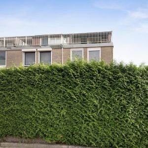 Reigerstraat 21, 7771 AM Hardenberg - Foto 36