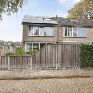 Boekweitstraat 47, 7776 BH Slagharen - Foto 26