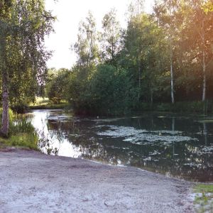 Noord Stegeren 54, 7701 RS Dedemsvaart - Foto 135