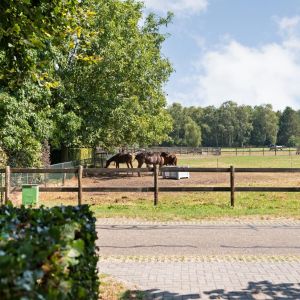 Spekopswijk 27, 7701 PB Dedemsvaart - Foto 49