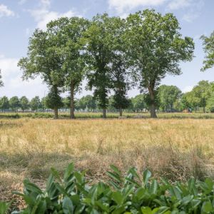 Prinses Margrietlaan 42, 7776 XM Slagharen - Foto 38
