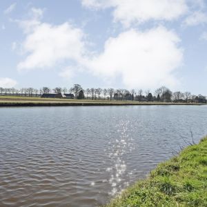 Waterlelie 11, 7772 MS Hardenberg - Foto 54