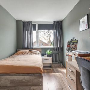 Bolsterstraat 22, 7776 BC Slagharen - Foto 18