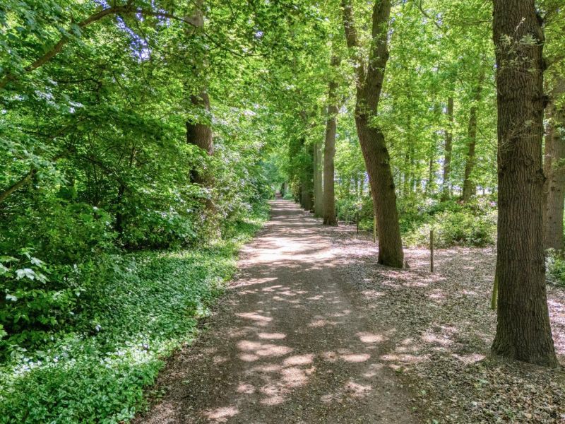 Zwolseweg 62, 7707 AJ Balkbrug - Foto 48