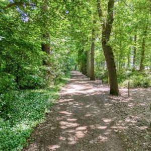 Zwolseweg 62, 7707 AJ Balkbrug - Foto 47