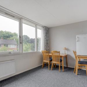 Nachtegaalstraat 15, 7771 CK Hardenberg - Foto 20