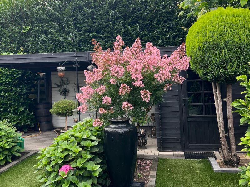 Nachtegaalstraat 13, 7771 CK Hardenberg - Foto 45