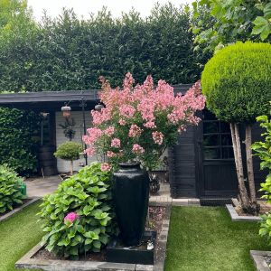 Nachtegaalstraat 13, 7771 CK Hardenberg - Foto 44