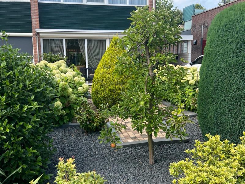 Nachtegaalstraat 13, 7771 CK Hardenberg - Foto 50