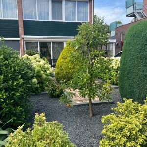 Nachtegaalstraat 13, 7771 CK Hardenberg - Foto 49