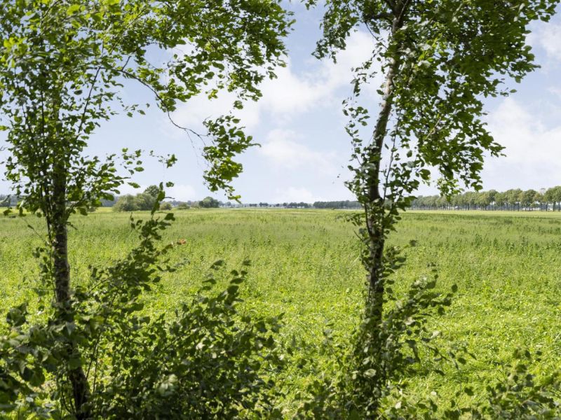 Posthoornweg 54, 7781 PK De Krim - Foto 79