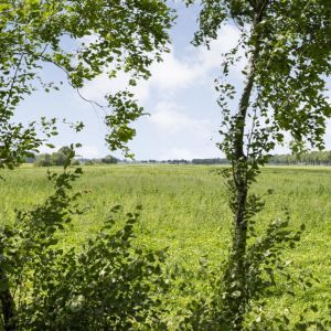 Posthoornweg 54, 7781 PK De Krim - Foto 78