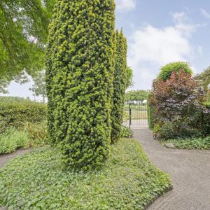 Hoornblad 53, 7772 MJ Hardenberg - Foto 51