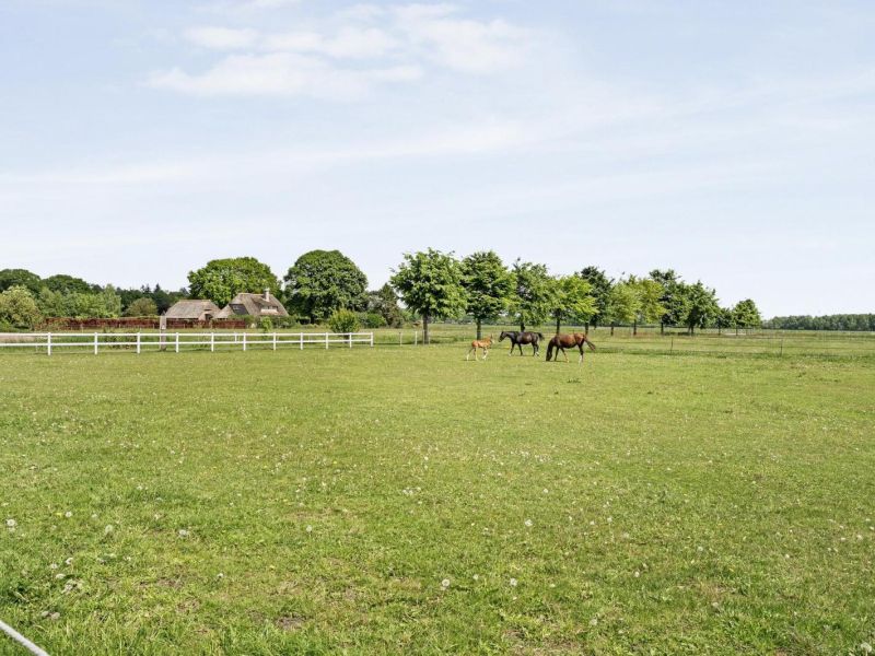 Balkerweg 42, 7731 RZ Ommen - Foto 115