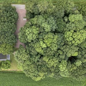 Kikkertsveldweg 1, 7782 SV De Krim - Foto 36