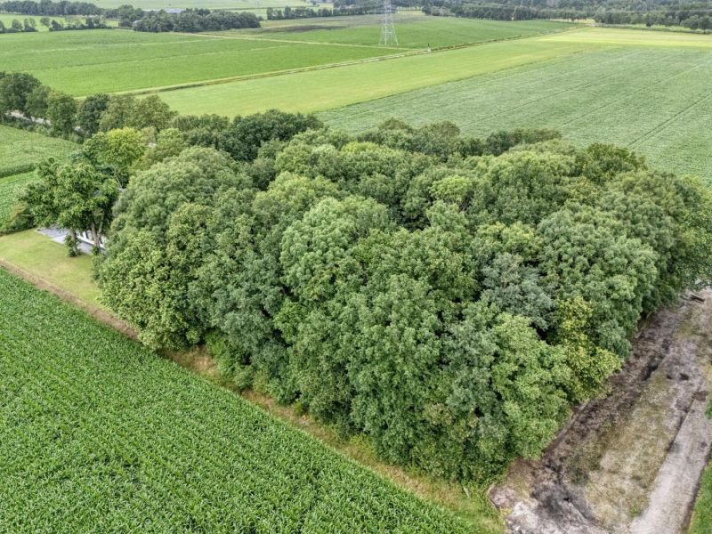 Kikkertsveldweg 1, 7782 SV De Krim - Foto 39