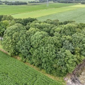 Kikkertsveldweg 1, 7782 SV De Krim - Foto 38