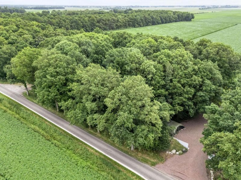 Kikkertsveldweg 1, 7782 SV De Krim - Foto 40