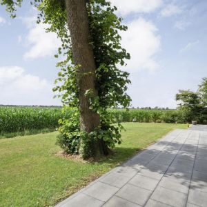 Kikkertsveldweg 1, 7782 SV De Krim - Foto 51