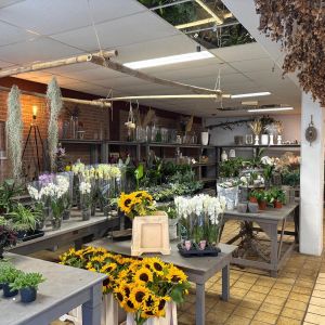 Marktstraat 12, 7701 GT Dedemsvaart - Foto 7