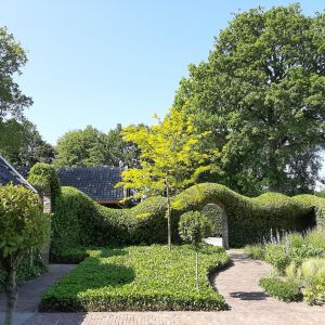 Eerste Schansweg 3, 7707 RW Balkbrug - Foto 128