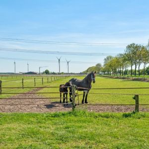 Oostwijk 3, 7701 PS Dedemsvaart - Foto 57