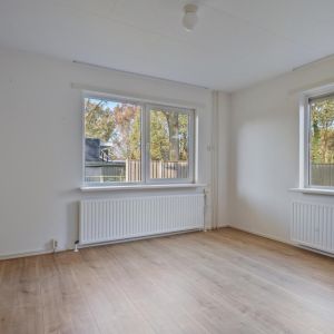 Dedemsvaartseweg-Noord 158, 7775 AL Lutten - Foto 12
