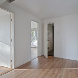 Dedemsvaartseweg-Noord 158, 7775 AL Lutten - Foto 25