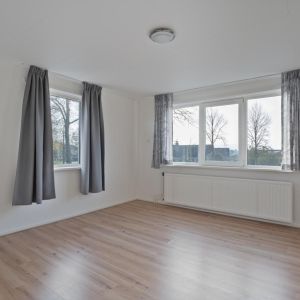 Dedemsvaartseweg-Noord 158, 7775 AL Lutten - Foto 29